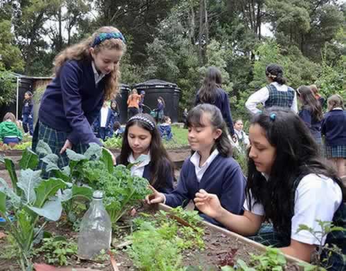 Foto COLEGIO SAN PATRICIO